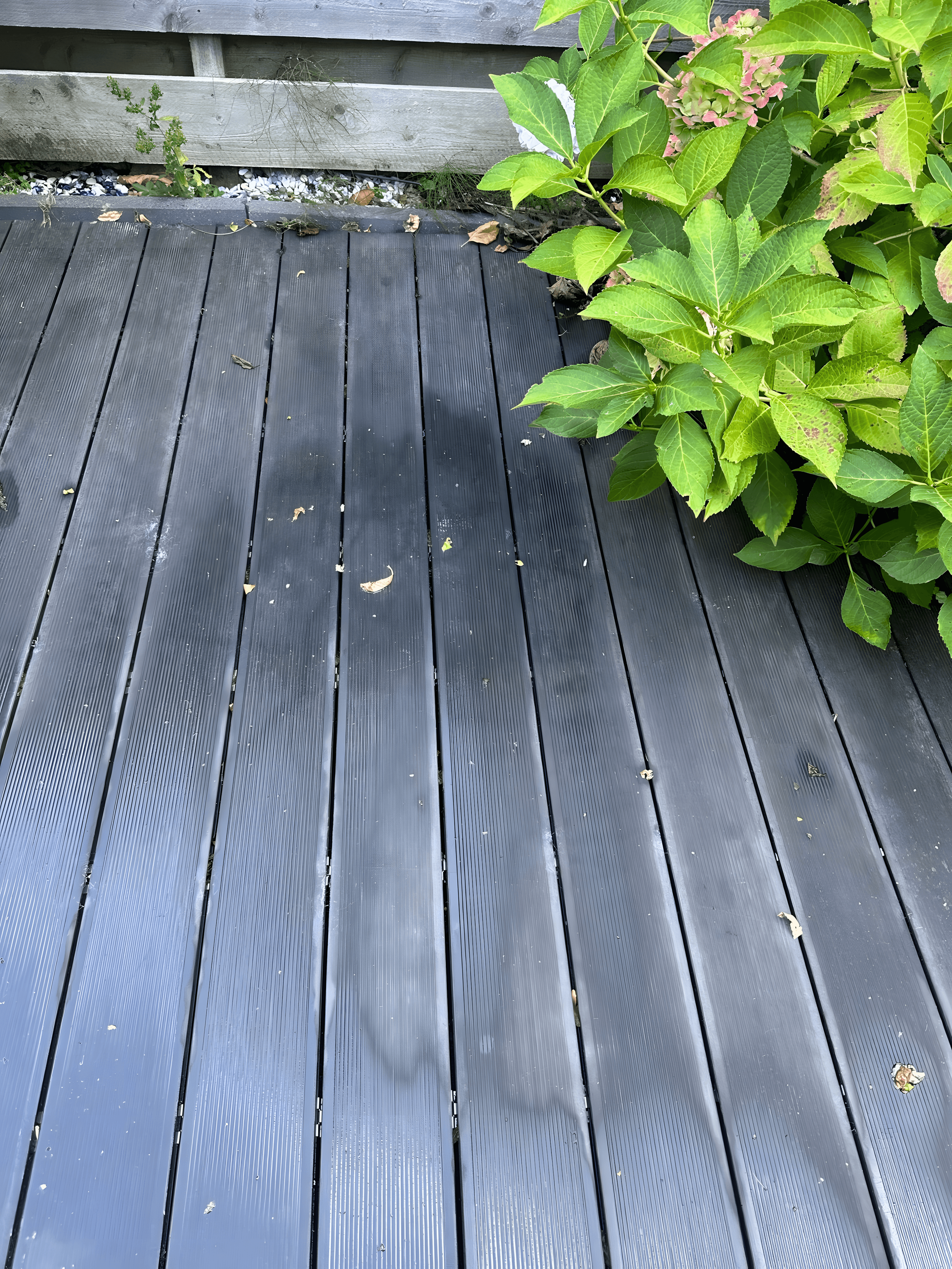 Terras na